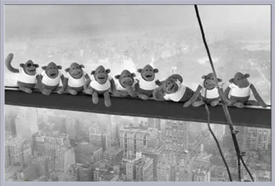 Immagine prodotto di Monkey - Poster - Su trave + cornice a incastro, Shinsuke® Maxi in plastica argento, lastra in acrilico