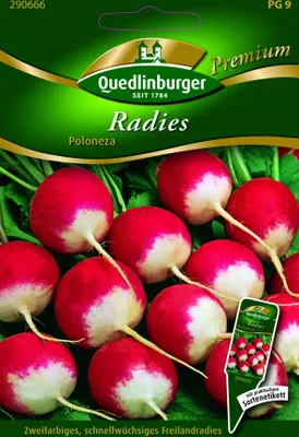 Produktbild von Radies Poloneza | Radieschensamen von Quedlinburger