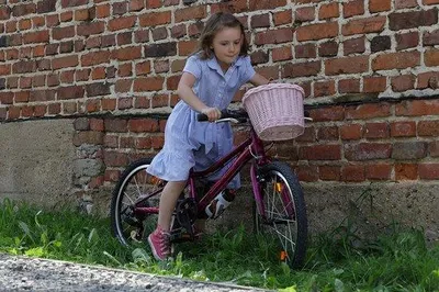 Produktbild von Famanu Fahrradkorb für Kinder - aus Weidengeflecht