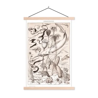 Produktbild von MuchoWow® Textilposter Tiere - Meerestiere - Schwarz - Weiß 120x180 cm mit holzfarbenen Rahmen - Textil-Plakat