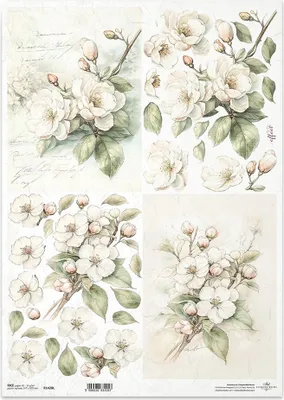 Immagine prodotto di Carta di riso per decoupage Carta per decoupage A3 ITD R1428L Fiori di melo