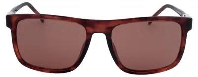 Produktbild von Carrera Sonnenbrille CARRERA 1136/S EX4 56 18 145