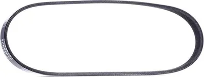 Produktbild von RIDEX Keilrippenriemen 690mm für FORD Fiesta Mk5 Schrägheck (JH1, JD1, JH3, JD3) 305P0117