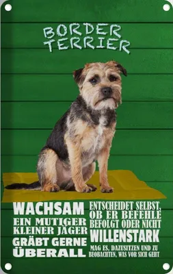 Produktbild von vianmo Blechschild 18x12 cm Border Terrier Hund wachsam Tier Haustier