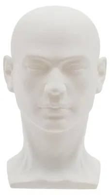 Produktbild von Perückenkopf - Männliches Kopfmodell - Höhe 30 cm - PVC - Kopfumfang 50 cm - Für Perücken & Hüte - Matt Weiß