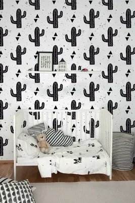 Produktbild von Coloray Fototapete 250x104 cm Vlies-Fototapete - Utensilien-Kakte-Pastellkaktus