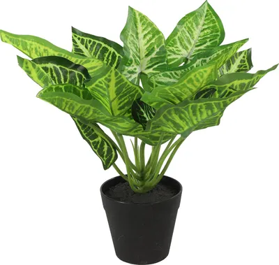 Produktbild von Künstliche Calathea S Pflanze in Grün zur dauerhaften und pflegeleichten Dekoration