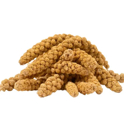 Produktbild von 15 kg Lyra Pet® Kolbenhirse gelb