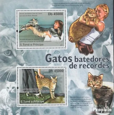 Produktbild von Briefmarken Sao Tome e Principe 2011 Mi Block 839 (kompl. Ausgabe) postfrisch Katzen-Rekordbrecher