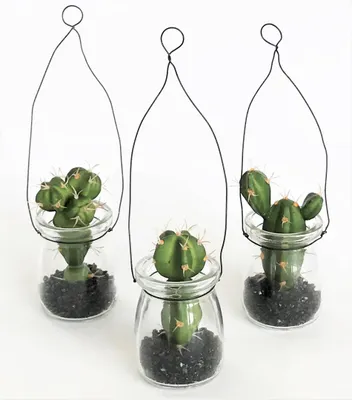 Produktbild von Kunstpflanze KAKTEEN 3 Stück 10-12cm. 3 x Kaktus getopft. Im Glas