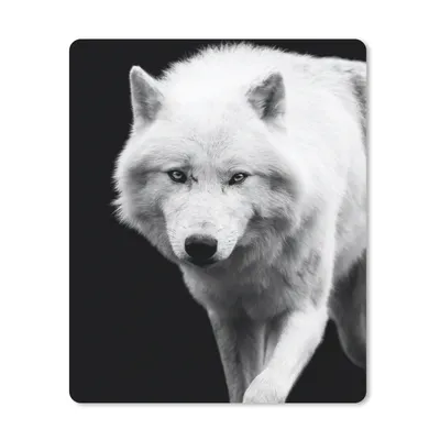 Produktbild von MuchoWow® Mauspad Mousepad Wolf - Tier - Schwarz - Weiß 30x40 cm - Mousepads - Maus Mat - Pad - Mausunterlage - Mausmatten
