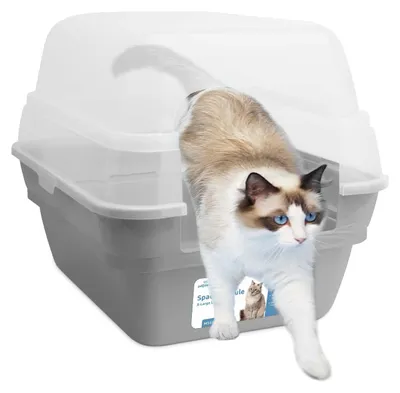 Obrázek produktu pro Kočičí toaleta Petfamily, velká, skládací, s velkým, průhledným víkem