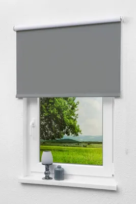 Produktbild von Lysel - Qualitätsrollo abdunkelnd anthrazit, (B x H) 143cm x 190cm in grau/anthrazit
