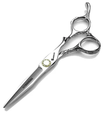 Immagine prodotto di Forbici professionali per capelli, modello da 6 pollici, con lama piatta, pettine e confezione