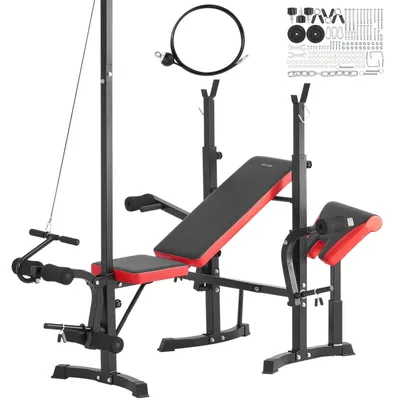 Immagine prodotto di Fitnessbank - Panca per esercizi con pesi - Panca da allenamento - Panca per esercizi di forza - Panca per addominali - Schienale regolabile