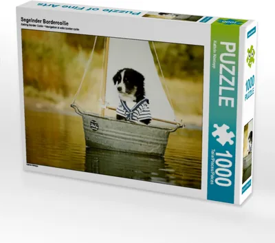 Produktbild von Calvendo Segelnder Bordercollie 1000 Teile Puzzle quer 640x480mm, Köntopp Kathrin; 7403358