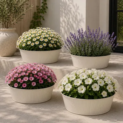 Immagine prodotto di 4 pz. Fioriera da balcone vaso per piante zincato Ø28xH12cm