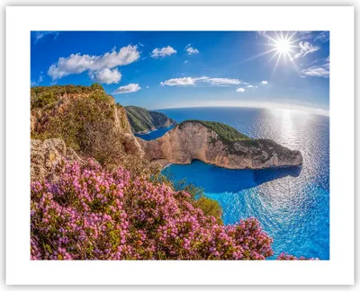 Produktbild von Poster - Poster ohne Rahmen - Meer Sommer Blume - 50x40 cm - Wand Bild - Wanddeko - Wandbilder - Kunstposter - Wandposter - Bilder - Kunstdruck - Wanddekoration - Wandbild - P2XAA50x40-3741
