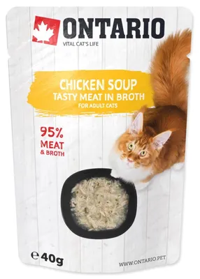 Productafbeelding van Polévka Ontario, kippenbouillon, 40 gram