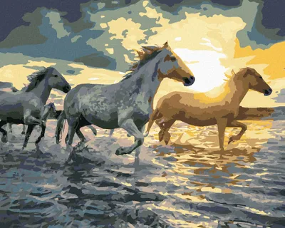 Produktbild von Diamondi - Diamond painting - PFERDE IM WASSER, 40X50 cm, ohne Keilrahmen