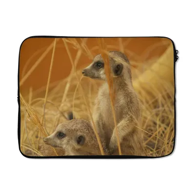 Produktbild von MuchoWow® Laptop Hülle 15 Zoll Gras - Erdmännchen - Tiere Laptoptasche - Laptoptasche - Sleeve - Rundum-Schutz