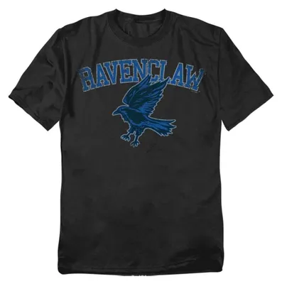 Image de T-shirt "Ravenclaw" pour homme/femme, modèle unie, en coton, référence TV39222 (taille XL), couleur noire