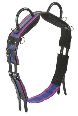 A horse's longeing girth is shown against a white background.