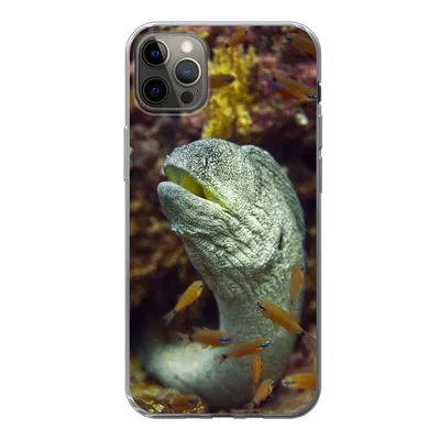 Produktbild von MuchoWow® Handyhülle Schutzhülle Hülle für iPhone 12 Pro Max Fische - Korallen - Ozean Silikon Softcase Handy Hülle - Hartschale