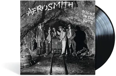 Zdjęcie produktu dla Aerosmith - Night In The Ruts (Reissue) (180 g) (LP)