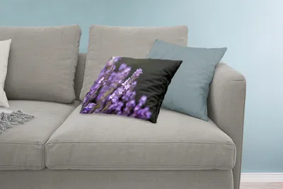 Produktbild von MuchoWow® Zierkissen Sofakissen Wohnzimmer Dekokissen 60x40 cm Nahaufnahme von lila Lavendel auf schwarzem Hintergrund - Kopfkissen - Polster mit Foto