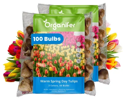 Obrázok produktu pre Tulipánové Cibule - 100 Kvetinových Cibúľ - Teplý Jarný Deň - Apeldoorn Mix Žltá Oranžová Červená - Organifer
