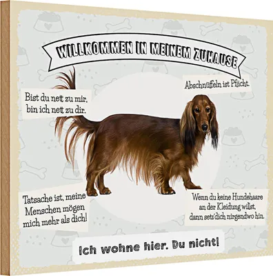 Produktbild von Holzschild Spruch 30x20cm Tiere Hund ich wohne hier du nicht