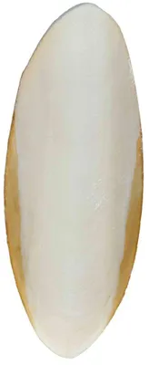 Produktbild von Trixie 76385