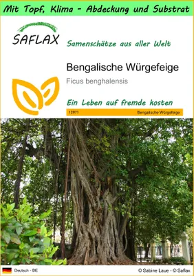 Produktbild von SAFLAX Garden to go - Bengalische Würgefeige - Ficus benghalensis - 20 Samen - Mit Topf, Klima - Deckel und Anzuchtsubstrat