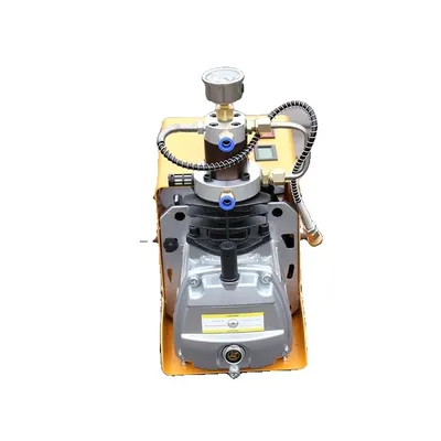 Obrázek produktu pro Pcp vzduchový kompresor, 4500Psi vysoký tlak, elektrický 220V/110V, C1 ruční vypínání, 220V