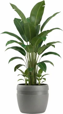 Produktbild von HowHomely | Blumenkübel - Blumentopf - B33xH30 cm - grau - Pflanzgefäß - Praktisch - Übertopf