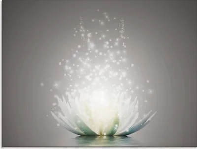 Produktbild von ARTland Glasbild Magie der Lotus-Blume - grau Größe: 80x60 cm