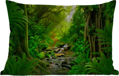Produktbild von MuchoWow® Outdoor Kissen - Dschungel - Wasser - Laub - Sonne - Natur - 60x40 cm - Wetterfest - Lounge Kissen - Zierkissen - Kissen für Innenräume
