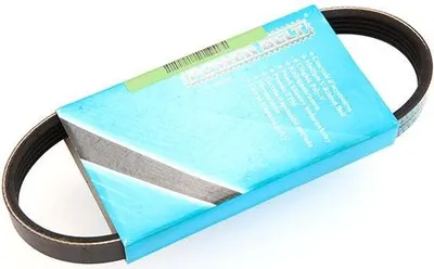 Produktbild von MAPCO Keilrippenriemen 491mm für VW GOLF VI (5K1) 250491