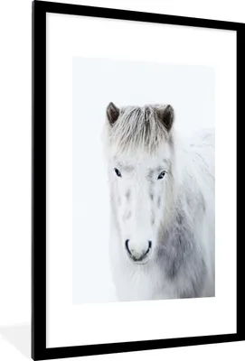 Produktbild von MuchoWow® Gerahmtes Poster Pferd - Schnee - Weiß 60x90 cm - Poster mit Schwarzem Bilderrahmen Wandposter Rahmen Foto Bilder - Dekoration - Wandposter Wohnzimmer - Hochwertig
