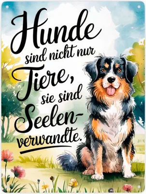 Produktbild von Hunde sind Seelenverwandte Metallschild XXL in 28x38 cm