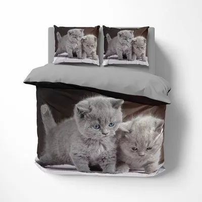 Produktbild von Unyqoos® 3D-Kätzchen-Bettwäsche-Set – Bettbezug 135×200 cm & Kissenbezug 80×80 cm, doppelseitig bedruckt, Microfaser, mit Reißverschluss