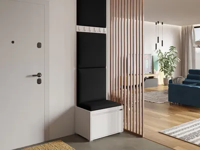 Obrázok produktu pre Predsieňová stena s nástennými čalúnenými panelmi CLENZE 4 - biela / čierna