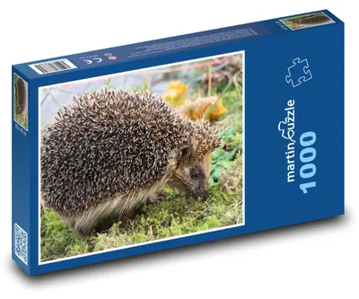 Zdjęcie produktu dla martinpuzzle - Puzzle 1000 - Jeż - zając
