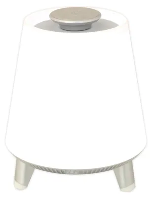 A white Bluetooth speaker with a gray top button sits on a white background.