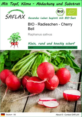 Produktbild von SAFLAX Garden to go - BIO - Radieschen - Cherry Bell - Raphanus sativus - 100 Samen - Mit Topf, Klima - Deckel und Anzuchtsubstrat
