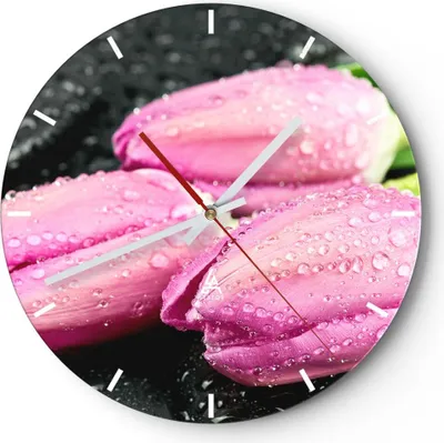 Produktbild von Wanduhr - Rund - Glasuhr - Tulpen Tau Steine Pflanze - 40x40cm - Schleichendes Uhrwerk - Lautlos - zum Aufhängen bereit - Dekoration Modern - Wanddekoration aus Glas - C3AR40x40-2485