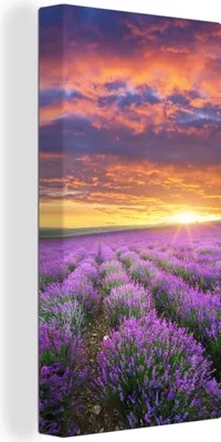 Produktbild von MuchoWow® - Leinwandbilder - Lavendel - Wolken - Frühling, Wandbild, Wanddeko Bilder Wohnzimmer, 40x80 cm