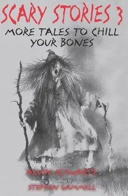 Productafbeelding van Scary Stories 3
