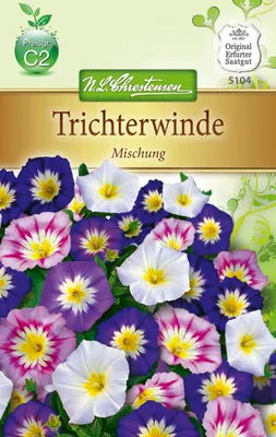 Produktbild von Trichterwinde Mischung  | Windensamen von N.L. Chrestensen